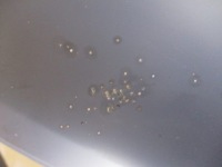 Купити Citroen c4 2 b7 бампер передній версія ксенон новий оригінал. 9676285080a, фото thumb