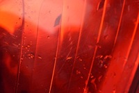 фото thumb №10, Лампа права задня задня uk 265506669r dacia sandero 2 ii 12-20