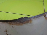 фото thumb №7, Hyundai tucson i 06r крила правий перед