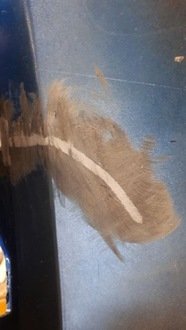 фото thumb №11, Ford ecosport st-line 2017-2022 lift бампер задняя