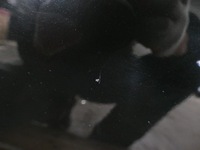 фото thumb №12, Nissan pathfinder r51 lift дверь левый перед gn0