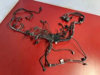 фото thumb №1, 2014 bmw x5 f15 жгут двигателя