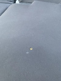 фото thumb №6, Заднє сидіння задня задня hyundai i20 iii 20- 1.0 t-gdi