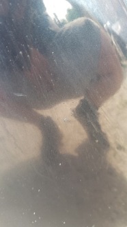 Купить Mercedes w163 ml бампер задний  189 задний дорестайлинг, фото thumb