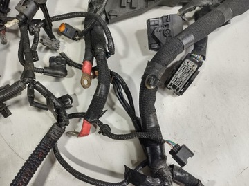 фото thumb №7, Renault kadjar 16r- жгут двигателя 240113190r