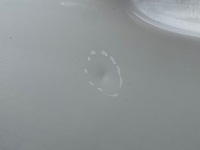 фото thumb №8, Дверь левый зад skoda superb ii универсал 08-15 lf9e