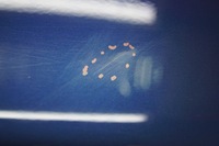 фото thumb №11, Дверь правый перед bmw x3 e83 a07