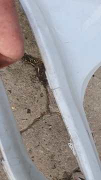 фото thumb №6, Kia sportage 4 iv 15- бампер задний зад €