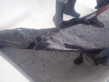 фото thumb №7, Range rover sport i 05-09 бампер перед распылитель pdc