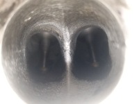 Головка двигателя gotowa 2.0 b alt 20v passat b5 a4 b6 130km 06b103373am Недорого, фото thumb