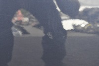 фото thumb №7, Volvo xc70 ii двері лівий задня задні 498-46 kpl