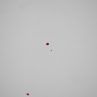 фото thumb №10, Citroen berlingo peugeot partner ii капот двигателя