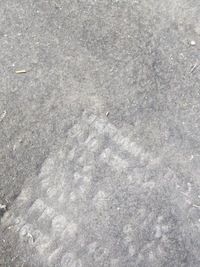 фото thumb №10, Захист підвіска середня права велика audi q3 8u 8u0825208