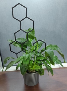 PODPÓRKA KWIATÓW ROŚLIN PERGOLA MIÓD 37cm