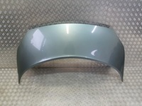 фото thumb №1, Капот renault scenic ii ted97