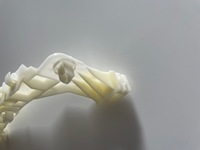 фото thumb №11, Mitshubishi eclipse cross 2018-2020 направляющая бампера перед правый оригинал