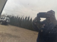 Капот крышка двигателя nissan juke f15 kod z11r - wawa Недорого, фото thumb