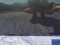 фото thumb №9, Дверь правое перед передние mercedes cls w219 c189 189