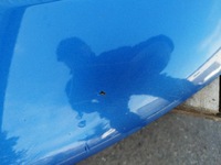 фото thumb №6, Капот кришка двигуна vw scirocco 3 iii 1k8 2008-2017 оригінал колір lr5z