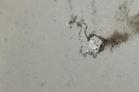 фото thumb №8, Зеркало левая renault koleos i hy_ 025972 2.5l бензиновый 126kw 2012