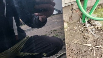 фото thumb №4, Forester iii sh 2008 двері передні ліві