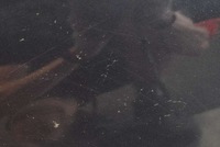 фото thumb №7, Дверь левая перед передние kgnc citroen c5 ii x7 iii kombi 08-17