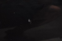 фото thumb №6, Дверь правое перед передние fr hyundai i20 1 i 5d hb lift 12-14