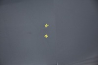 фото thumb №6, Капот кришка двигуна opel insignia a