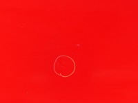 фото thumb №9, Двері задня правий задні праве a4a mazda 3 i bk 03-09r. 07r. хетчбек