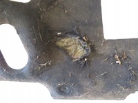 фото thumb №4, Шумоизоляция наружное стены перегородки renault trafic ii 2001-2014 rok