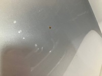 фото thumb №6, Капот skoda octavia 3 iii la7w