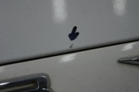 фото thumb №9, Кришка багажника toyota camry viii 040 sedan usa