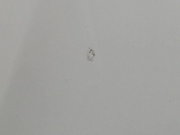 фото thumb №7, Opel corsa e капот крышка двигателя z40r