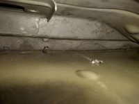 фото thumb №13, Крышка багажника задняя задняя citroen c3 picasso exld целая eu