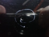 фото thumb №7, Капот audi a4 b8 avant 2008r 3.0 tdi eu l8l8 lz9y 10361