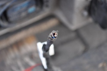 фото thumb №12, Bmw 3 g20 батарея акумулятор 8854013