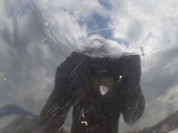 фото thumb №8, Бампер задняя 4x pdc renault clio iii