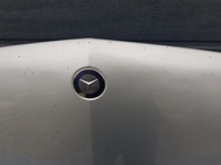 фото thumb №4, Капот mercedes w251 c775 775