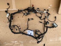 фото thumb №1, Джгут двигуна ford mustang vi 2.3 ecoboost kpl