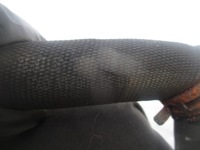 фото thumb №3, Bentley continental gt gtc труба wąż шланг wody