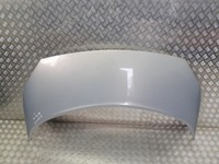 фото thumb №1, Капот renault scenic ii tea19