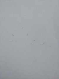 фото thumb №12, Двері праве bok бічний зсувні jumper boxer fiat ducato iii 06- l3h2 249