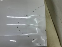 Двері mg marvel r 21r.- праве передні правий перед 10260327 Оригінал, фото thumb