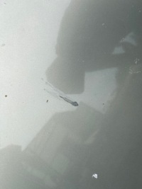 фото thumb №4, Капот крышка багажника передняя перед citroen c5 i 2001-2005