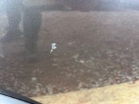 фото thumb №8, Land rover discovery iv l319 3.0 td v6 дверь правый задняя задние lrc 907