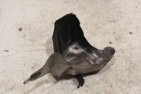 фото thumb №5, Защита тепловая турбины audi a5 8t 059145323a