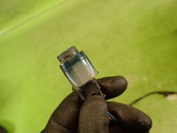 фото thumb №12, Жгут датчиков парковка ford mondeo mk4 07r w6 6g92-15k859-cc lak w6