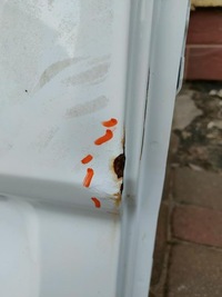 фото thumb №6, Двері задні ліва sprinter 906 niski