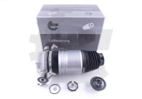 фото thumb №1, Esen skv 58skv049 подушка воздушная, подвеска