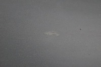 фото thumb №7, Поріг планка порогова ліва ford kuga mk1